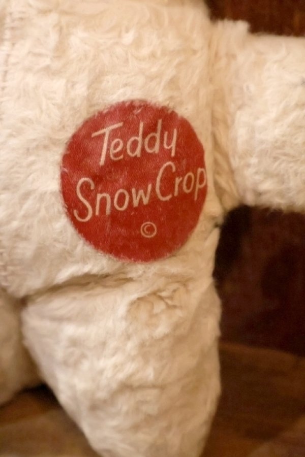 画像3: ct-251105-41 Teddy Snow Crop / 1950's Rubber Face Doll