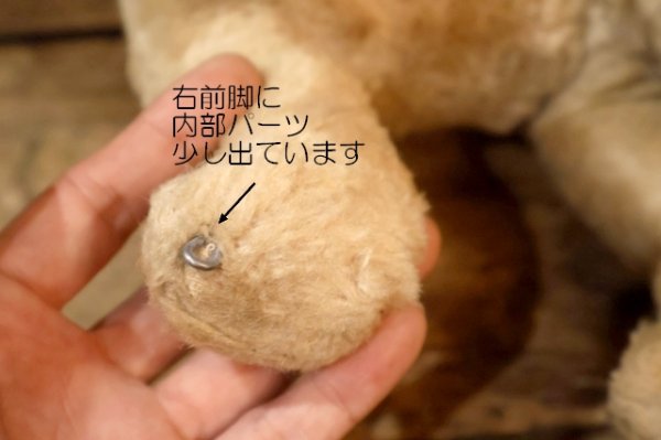 画像11: ct-251105-09 Lady and the Tramp / GUND 1950's Rubber Face Doll