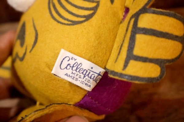 画像7: ct-250908-01 Collegiate 1950's-1960's College Mascot Doll "SCI"