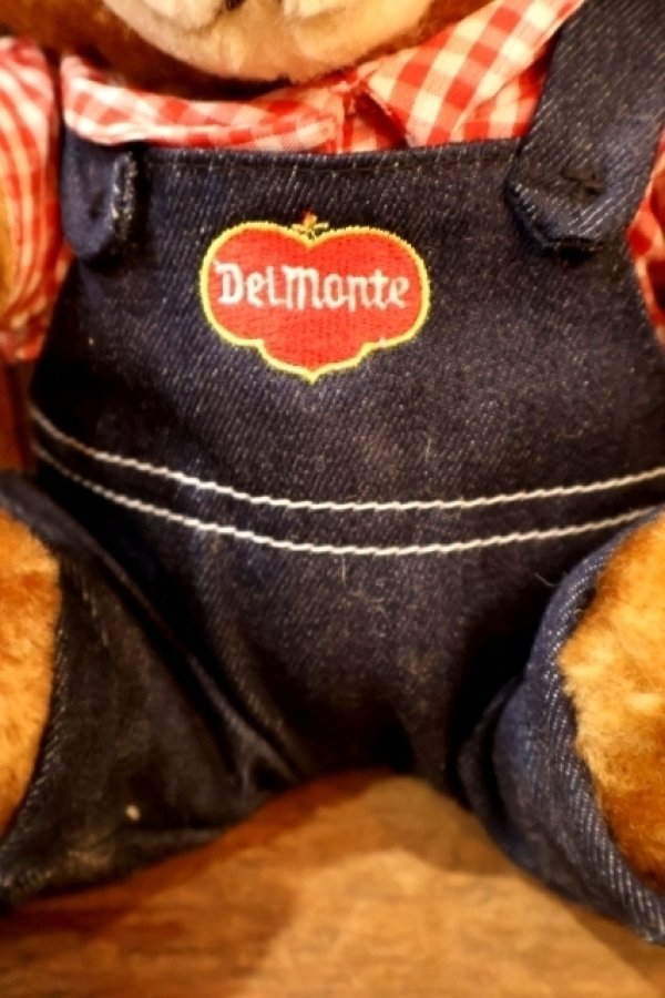 画像3: ct-251105-08 Delmonte / Country Yumkin Brawny Bear 1985 Plush Doll
