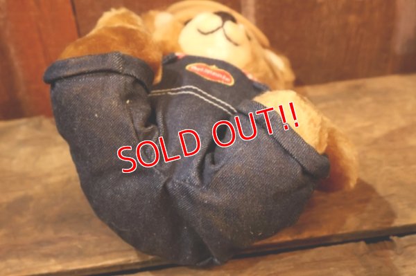 画像7: ct-251105-08 Delmonte / Country Yumkin Brawny Bear 1985 Plush Doll