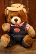 画像1: ct-251105-08 Delmonte / Country Yumkin Brawny Bear 1985 Plush Doll (1)
