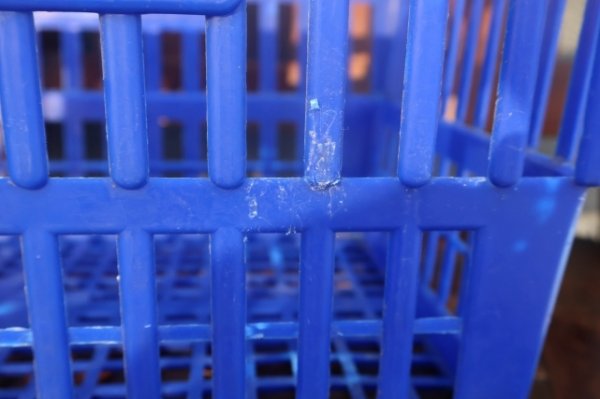 画像7: dp-250618-11 Toys “Я” Us 2000's Shopping Basket