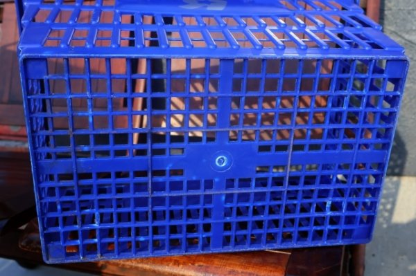 画像15: dp-250618-11 Toys “Я” Us 2000's Shopping Basket