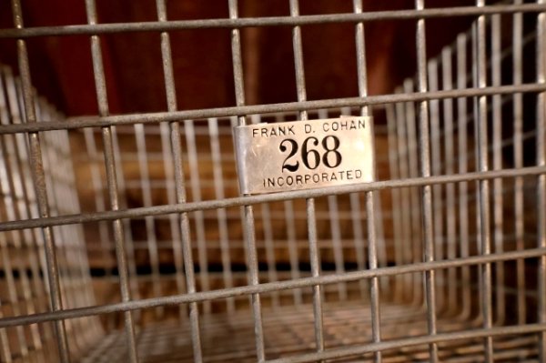 画像3: dp-240611-21 FRANK D. COHAN, INC. 1950's-1960's Wire Basket 