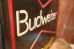 画像13: dp-251008-15 Budweiser 1980's-1990's Bar Display Lighted Sign (13)