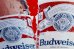 画像8: dp-251008-17 Budweiser 1990's Metal Sign (8)