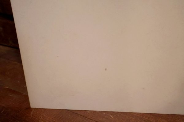 画像5: dp-251008-33 TACO BELL 2000's Public Phone Side Panel