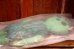画像4: ct-251010-17 Jolly Green Giant / 1970's Pillow Doll (4)