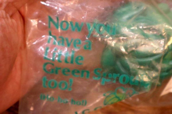 画像7: ct-251010-16 Little Sprout / 1970's Soft Vinyl Doll