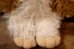 画像4: ct-251201-52 GRENLiNS / APPLAUSE 1984 GIZMO PLUSH DOLL (4)