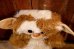 画像3: ct-251201-52 GRENLiNS / APPLAUSE 1984 GIZMO PLUSH DOLL (3)