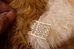 画像8: ct-251201-52 GRENLiNS / APPLAUSE 1984 GIZMO PLUSH DOLL (8)