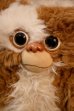 画像2: ct-251201-52 GRENLiNS / APPLAUSE 1984 GIZMO PLUSH DOLL (2)