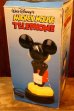 画像13: ct-251201-51 Mickey Mouse / Synanon 1988 TELEPHONE (13)