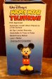 画像11: ct-251201-51 Mickey Mouse / Synanon 1988 TELEPHONE (11)