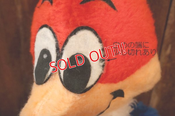 画像2: ct-251201-55 Woody Woodpecker 1980's Plush Doll