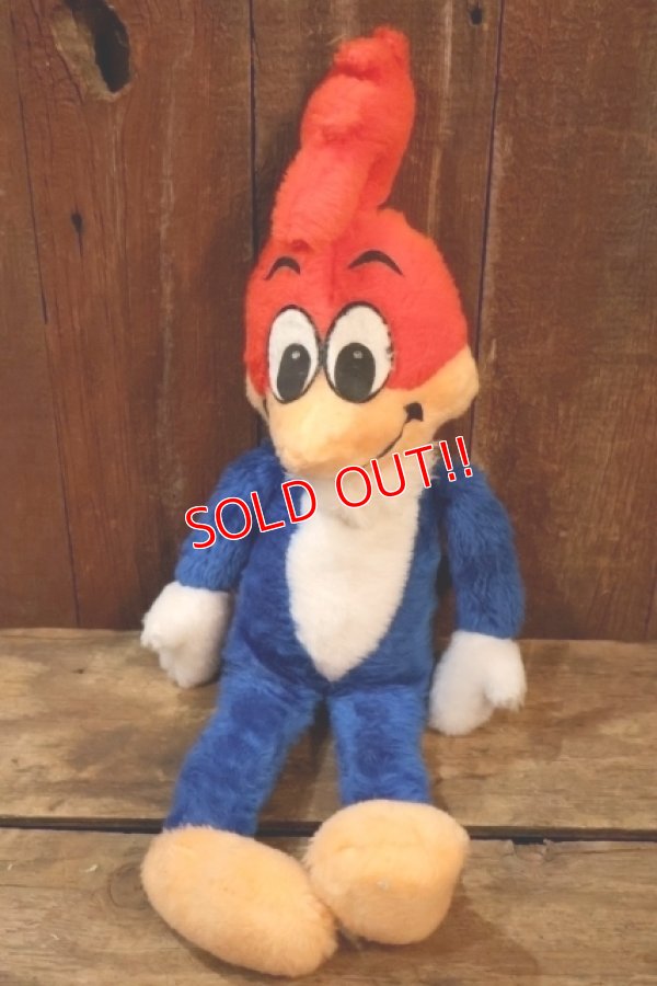 画像1: ct-251201-55 Woody Woodpecker 1980's Plush Doll