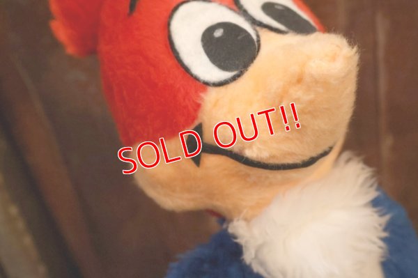 画像3: ct-251201-55 Woody Woodpecker 1980's Plush Doll