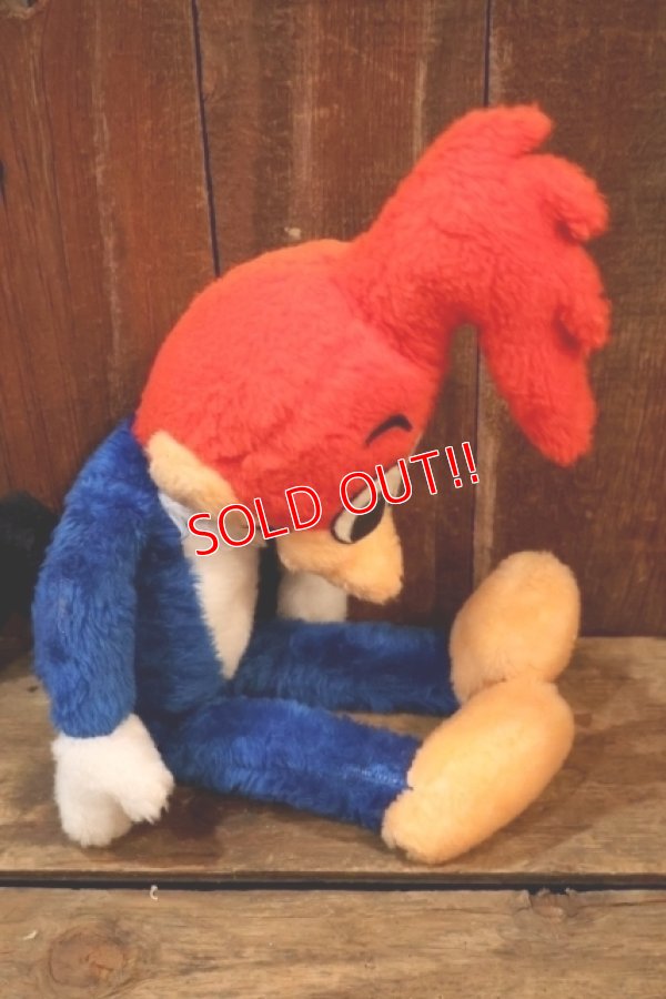 画像10: ct-251201-55 Woody Woodpecker 1980's Plush Doll
