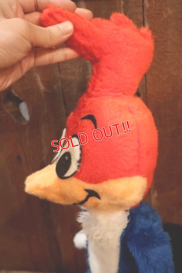 画像4: ct-251201-55 Woody Woodpecker 1980's Plush Doll