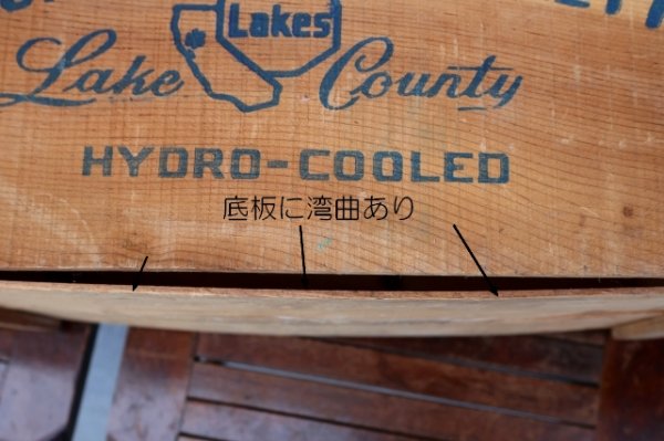 画像12: dp-241106-03 MOUNTAIN BARTLETTS / BLAZING STAR WOOD BOX