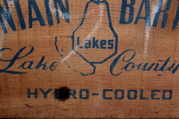 画像4: dp-241106-03 MOUNTAIN BARTLETTS / BLAZING STAR WOOD BOX