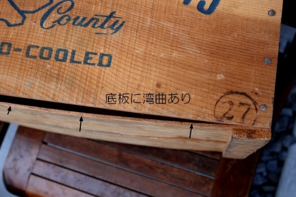 画像13: dp-241106-03 MOUNTAIN BARTLETTS / BLAZING STAR WOOD BOX