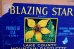 画像6: dp-241106-03 MOUNTAIN BARTLETTS / BLAZING STAR WOOD BOX (6)