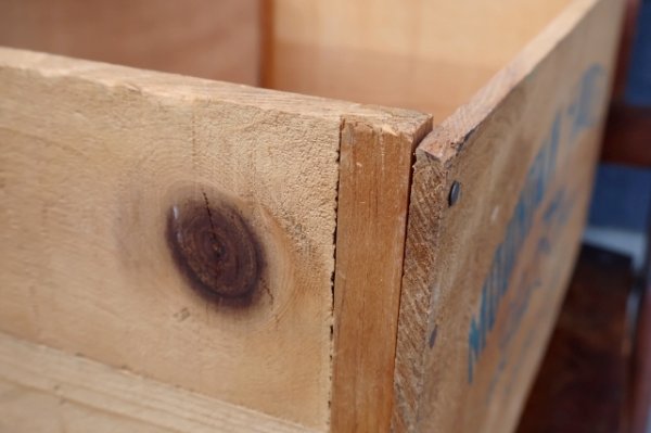 画像8: dp-241106-03 MOUNTAIN BARTLETTS / BLAZING STAR WOOD BOX