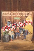 ct-251201-47 SESAME STREET 1981 SESAME COUNTRY LP Record