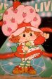 画像2: ct-251201-43 Strawberry Shortcake 1980 LP Record (2)