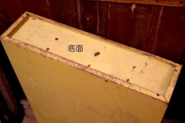 画像14: dp-260204-24 C/R OIL SEALS 1960's-1970's Metal Rack