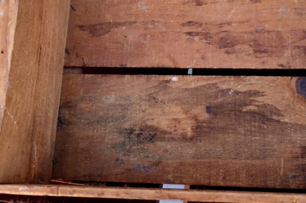 画像7: dp-260226-04 Harry Carian Sales Vintage Wood Crate Box