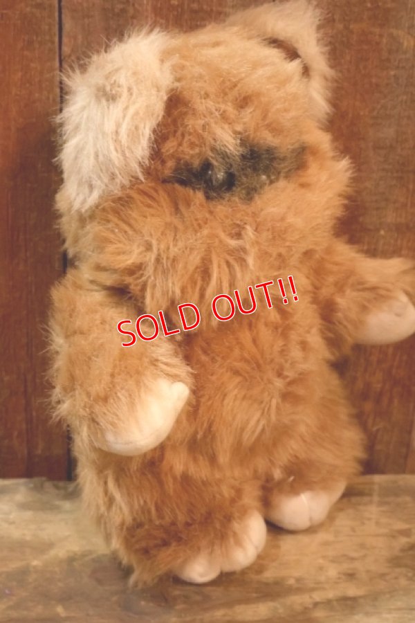 画像6: ct-260325-15 STAR WARS / Kenner 1983 Wicket the Ewok Plush Doll