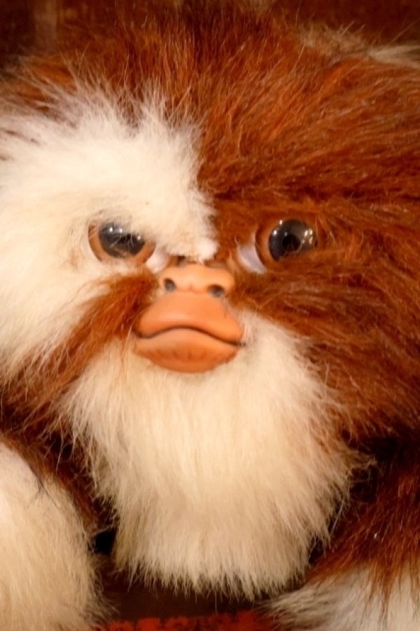 画像2: ct-260322-06 GREMLiNS / Quiron 1993 Gizmo Large Plush Doll