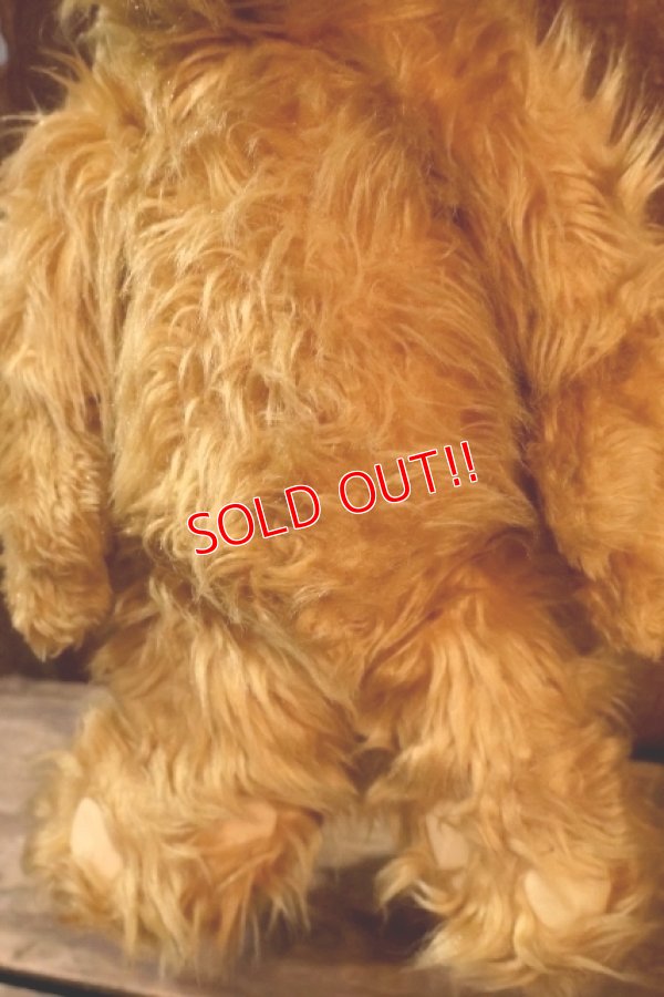 画像6: ct-260325-14 ALF 1980's 16" Plush Doll