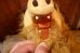 画像3: ct-260325-14 ALF 1980's 16" Plush Doll (3)