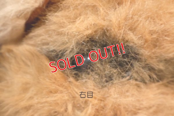 画像2: ct-260325-15 STAR WARS / Kenner 1983 Wicket the Ewok Plush Doll