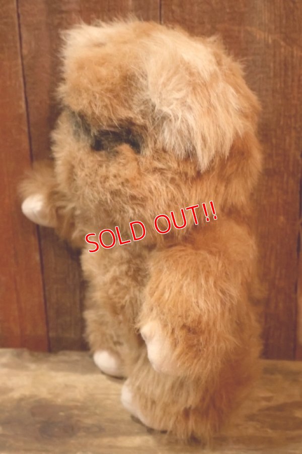 画像5: ct-260325-15 STAR WARS / Kenner 1983 Wicket the Ewok Plush Doll