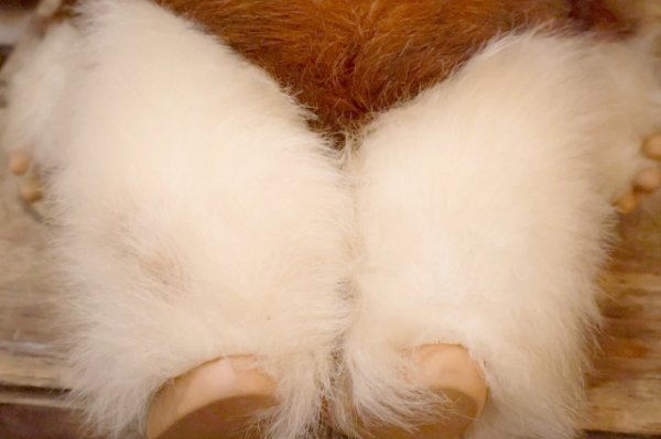 画像12: ct-260322-06 GREMLiNS / Quiron 1993 Gizmo Large Plush Doll