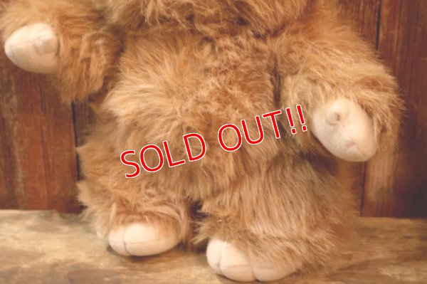 画像4: ct-260325-15 STAR WARS / Kenner 1983 Wicket the Ewok Plush Doll