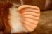 画像10: ct-260322-06 GREMLiNS / Quiron 1993 Gizmo Large Plush Doll (10)
