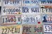 画像5: dp-230518-02 United States of America License Plates Full Set (5)