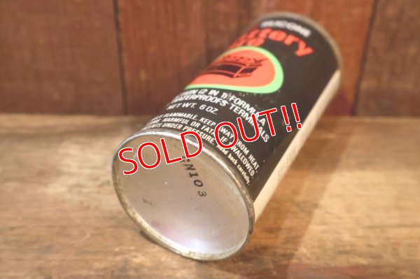 画像6: dp-260401-04 GENERAL ELECTRIC 1970's SILICONE battery care Spray Can