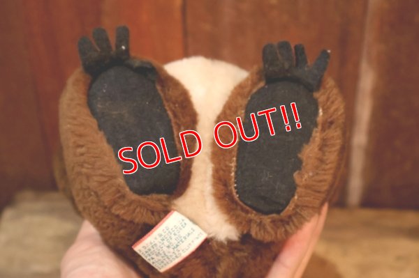 画像7: ct-260401-58 Misha Bear / DAKIN 1979 Plush Doll