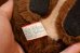 画像8: ct-260401-58 Misha Bear / DAKIN 1979 Plush Doll (8)