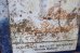 画像2: dp-260501-05 NATIONAL BISCUIT COMPANY 1930's Saltina Biscuit TIN CAN (2)