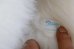 画像13: ct-260417-02 GREMLiNS / Quiron 1993 Gizmo Huge Plush Doll (13)
