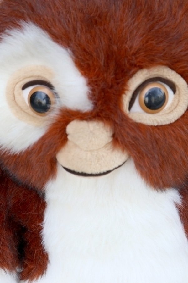 画像2: ct-260417-02 GREMLiNS / Quiron 1993 Gizmo Huge Plush Doll